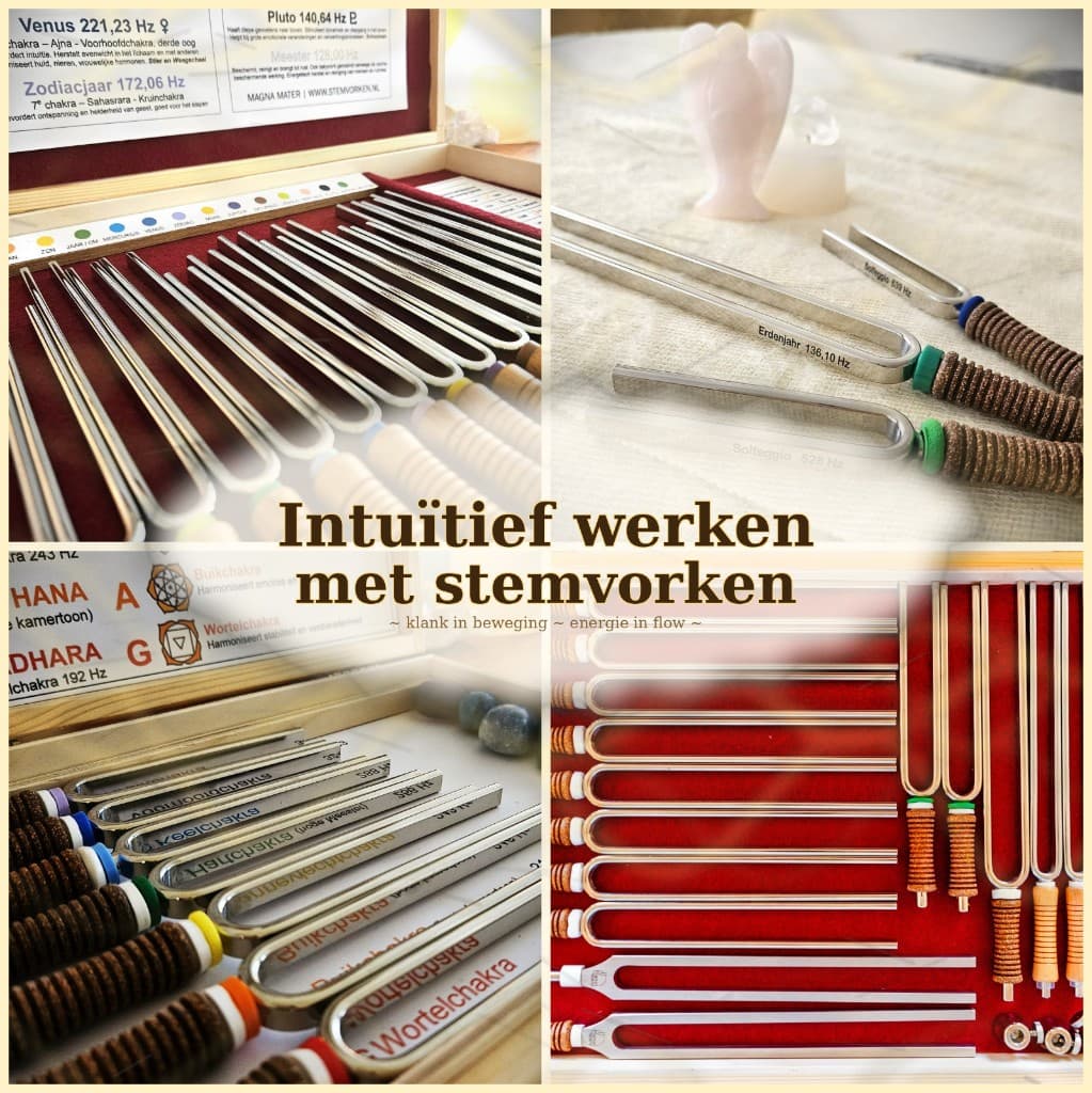 Basisopleiding Werken met Stemvorken
